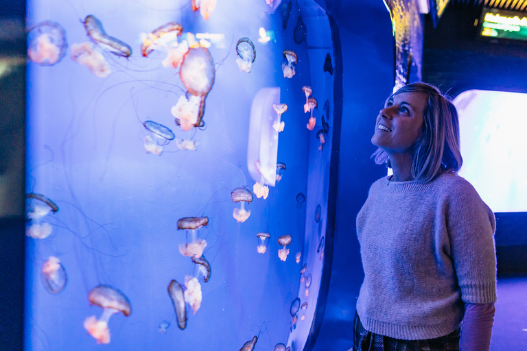 Genoa: Aquarium of Genoa with Lunch