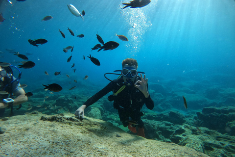 Ayia Napa: esperienza di immersione subacquea per principianti