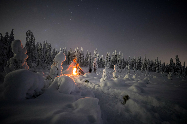 Night Snowshoeing Adventure under the Northern Lights