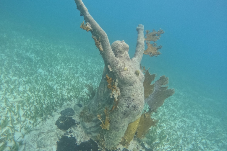 Snorkel Paradise Cancun and underwater museum in Nizuc