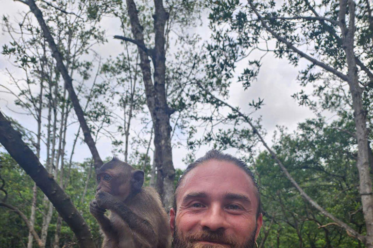 Excursão de 1 dia à floresta de mangue de Can Gio e à Ilha dos Macacos