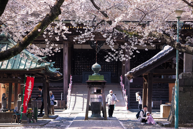 Private Chiba Day Tour: Red Panda Punch, Temple & Bay Tower
