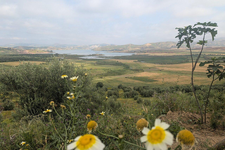 From Fes: Volubilis,Moulay Idriss&Meknes Day Trip with Guide Medium Group:Meknes,Volubilis, Moulay Idriss Guide in Meknes