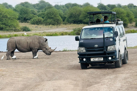 Nairobi National Park Safari Game Drive in a 4x4 Nairobi: National Park 5 Hours Safari in a Shared 4x4 Jeep