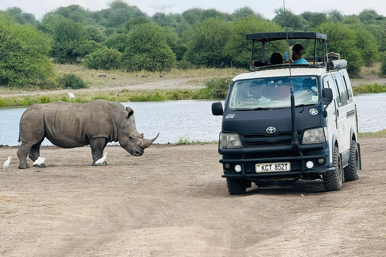 Nairobi National Park Safari Game Drive in a 4x4 Nairobi: National Park 5 Hours Safari in a Shared 4x4 Jeep