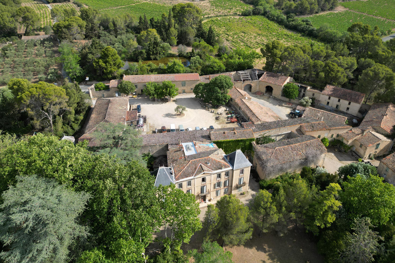 Massmamier La Mignarde : Wine Tasting Massmaier La Mignarde : Wine Tasting