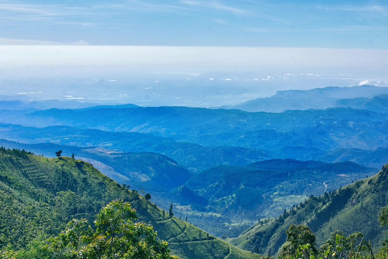 Sri Lanka: Hill Country 3-Day Tour