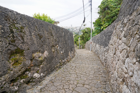 Naha: Okinawa Shuri Castle Peace Walking Tour