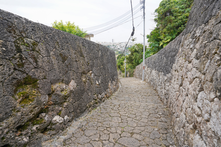 Naha: Okinawa Shuri Castle Peace Walking Tour