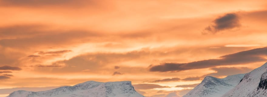 Kiruna: gita di 1 giorno ad Abisko e Björkliden con pranzo
