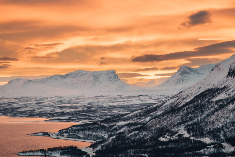 Kiruna: Abisko and Björkliden Day Trip with Lunch