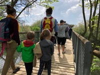 Salina di Cervia, cammina lungo la strada dei nidi - Housity