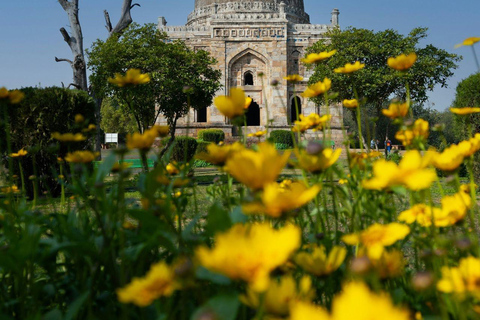 Delhi: Monument Tour with local guides &amp; transport