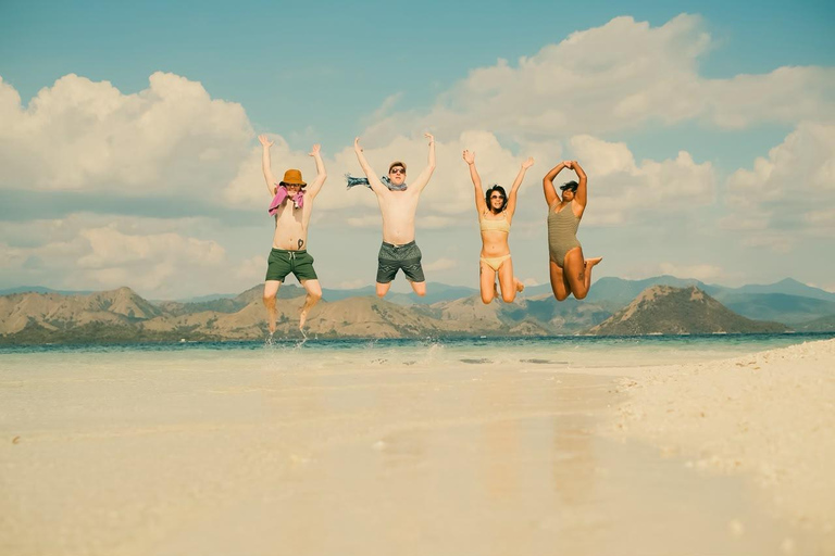 From Senggigi: 4-Day Whale Shark & Komodo Adventure