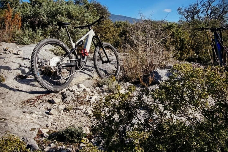 Torreilles : Location de vélosMTB Rando ADRIS S / M / L