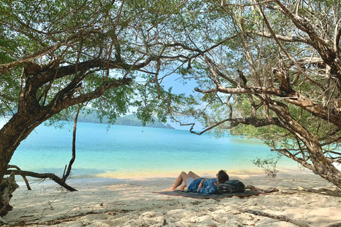 Ang Thong Full-Day Cruise with Sunset by The Red Baron Boat