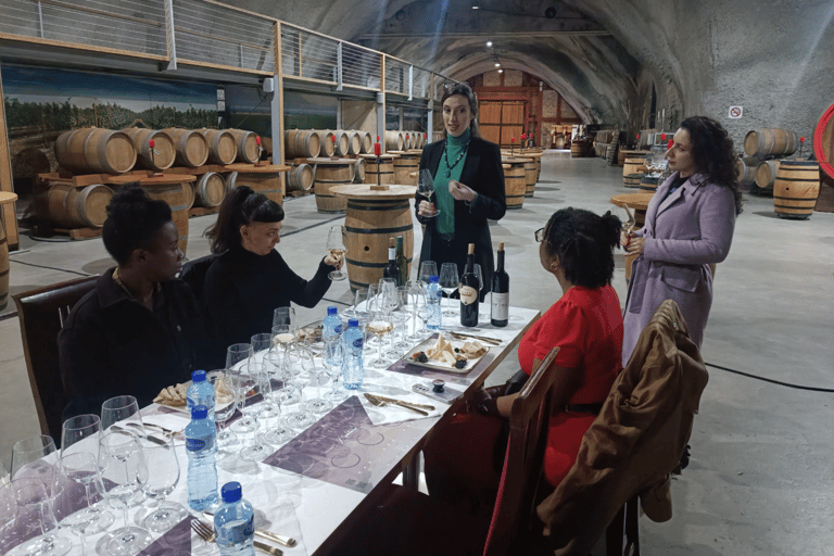 Podgorica Car Trip, Doclea city, Wine tasting, Niagara falls