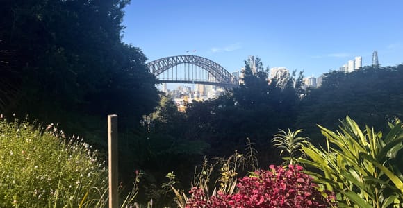 Sydney: Harbour Views & Hidden Histories Walking Tour