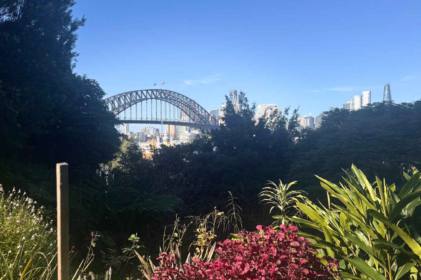 Sydney: Harbour Views & Hidden Histories Walking Tour - Sydney: Harbour Views & Hidden Histories Walking Tour