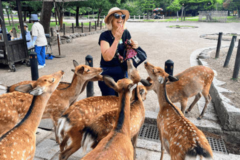 奈良公园：隐秘小径与鹿群导览之旅（含接送服务）