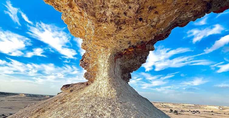 From Doha: Culture & History Qatar Tour to the North & West photo 18