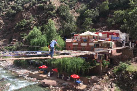 Marrakech: Montañas del Atlas, Valle del Ourika, almuerzo y paseo en camello