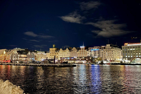 Bergen: Viking Village, Nærøyfjord & Flåm Day Trip