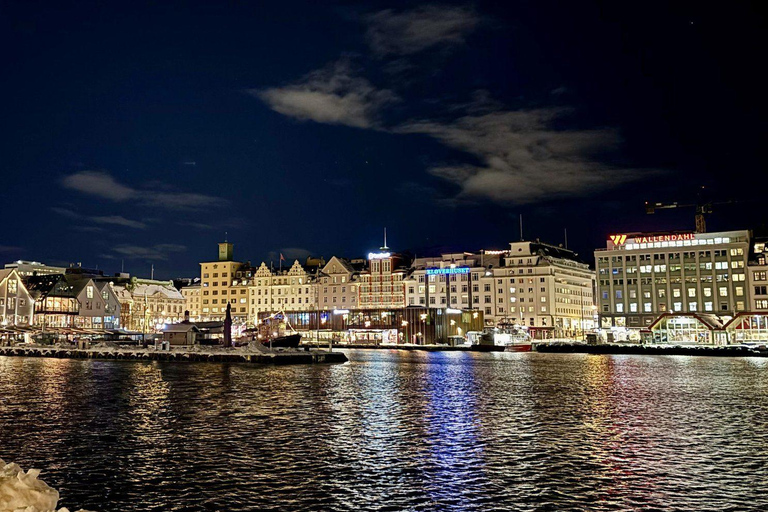 Bergen: Viking Village, Nærøyfjord & Flåm Day Trip