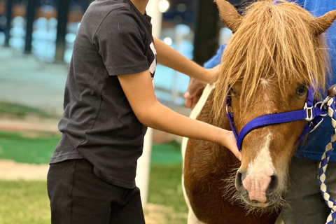 RIYADH : Horse Riding Experience