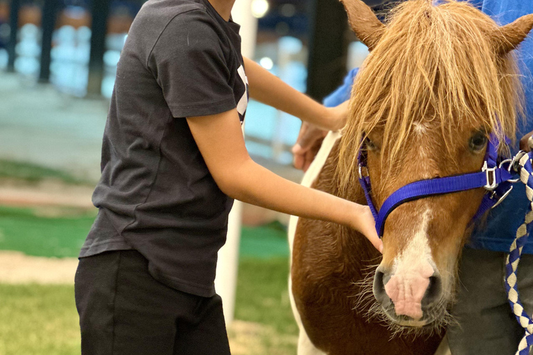 RIYADH : Horse Riding Experience