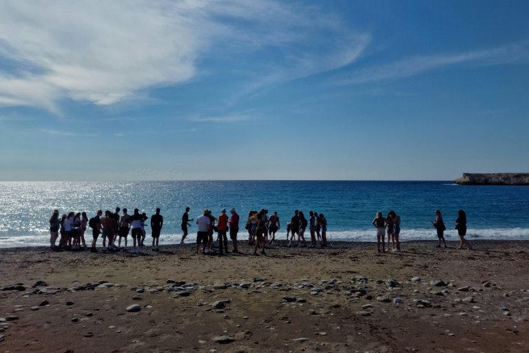 Paphos : Excursion d&#039;une journée dans les montagnes et les villages du Troodos