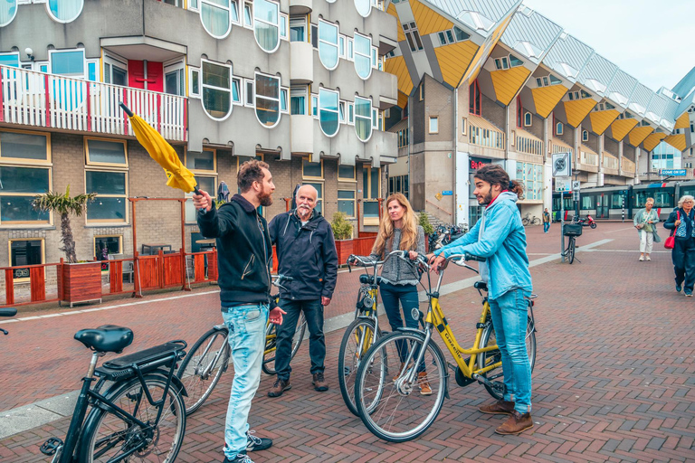 Rotterdam: Classic Highlight Bicycle Tour by Local