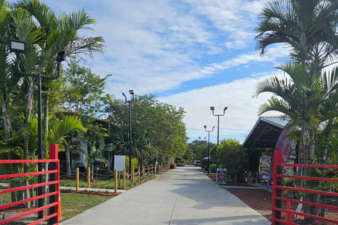 Miami ATV Xperience: Ride Day&Night, FREE Passenger, Pic&Vid ATV Quad Rental w/o Gas & Fees $89/Guest due at Check-in