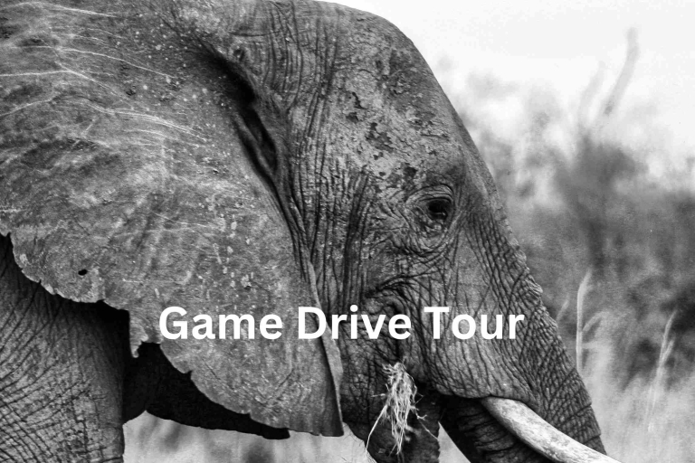 Victoria Falls: 4x4 Zambezi National Park Game Drive Small Group Tour