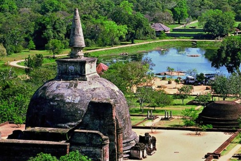 Las Antiguas Maravillas de Sri Lanka: La Roca de Sigiriya y Polonnaruwa
