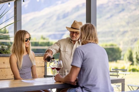 Queenstown's Original Premium Half-Day Wine Tasting Tour - Image 2