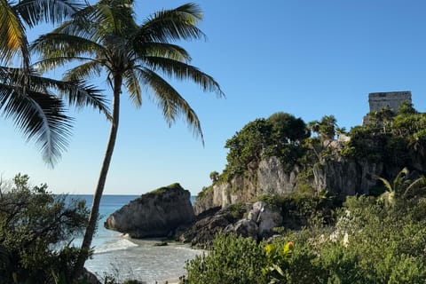 Tulum: VIP Private Tour with Cave.