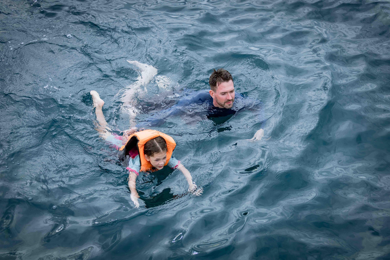 Phuket : Excursion d&#039;une journée aux îles Phi Phi et à l&#039;île de Khai