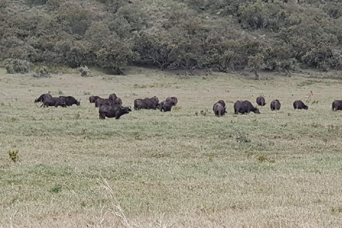 Nairobi: Hell's Gate & Lake Naivasha Day Trip with Boat Ride