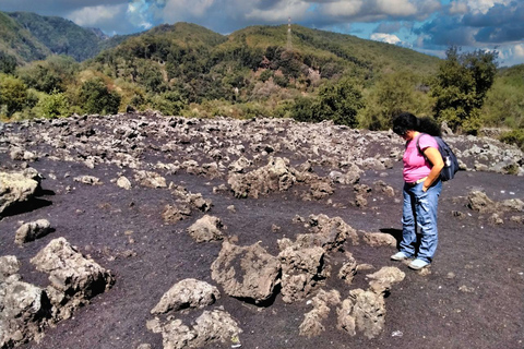 Etna,Taormina,Aci Trezza, Acireale,Buscemi: lunch en diner