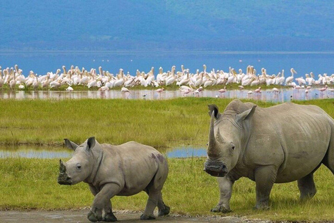 From Nairobi: Lake Nakuru National Park Safari with Lunch