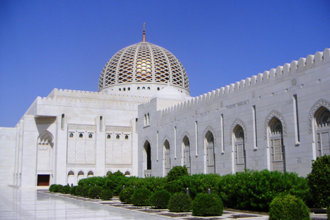 Muscat: Half-Day City Sightseeing Tour & Grand Mosque Visit