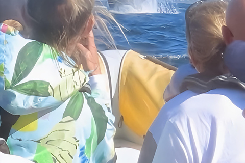 Noosa : Observation des baleines à bosseNoosa: visite d&#039;observation des baleines à bosse