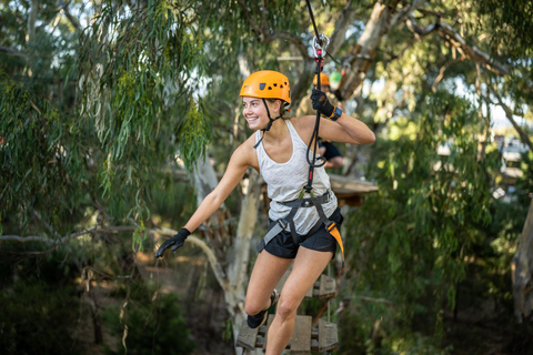 Adelaide: TreeClimb Adventure