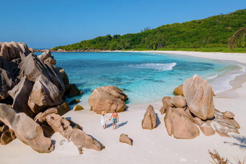 Phuket Excursión de un día a la isla Similan en catamarán de lujo y lancha rápida