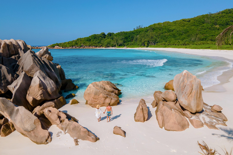 Phuket: Escursione di un giorno alle isole Similan in barca, catamarano di lusso