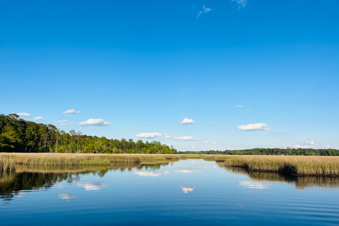 Charleston: Sunrise Marsh Ecotour Boat Charter
