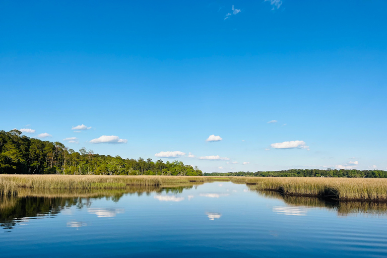 Charleston: Sunrise Marsh Ecotour Boat Charter