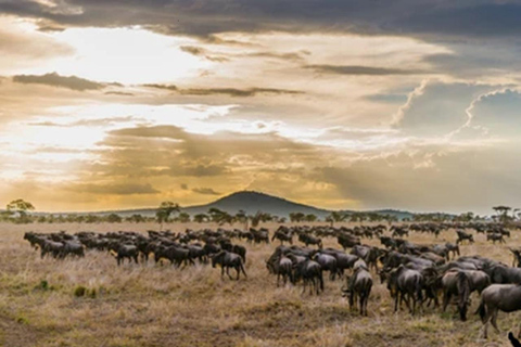 Os melhores 5 dias no Parque Nacional do Serengeti