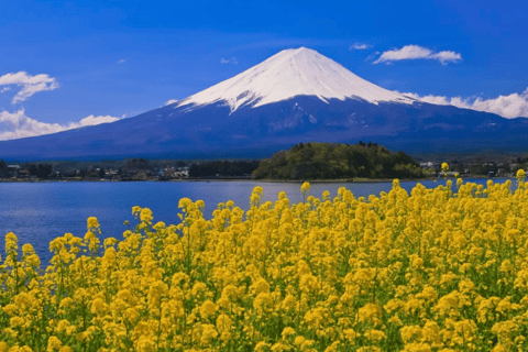 Von Tokio aus: Mount Fuji Customize Day Tour mit englischem Fahrer